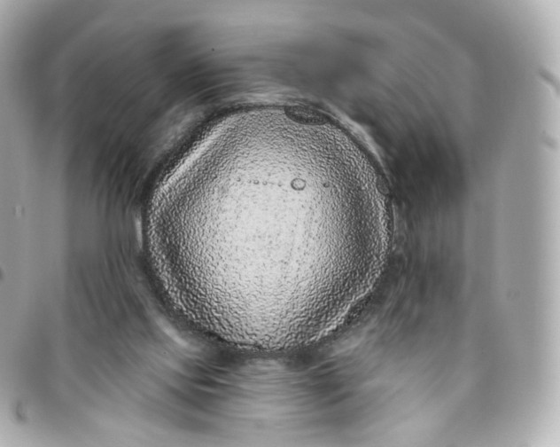 X0000095900061200802011137