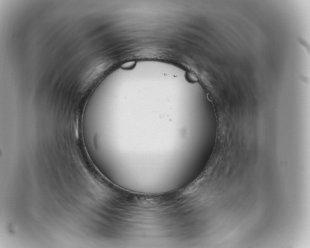 X0000095900062200802011137