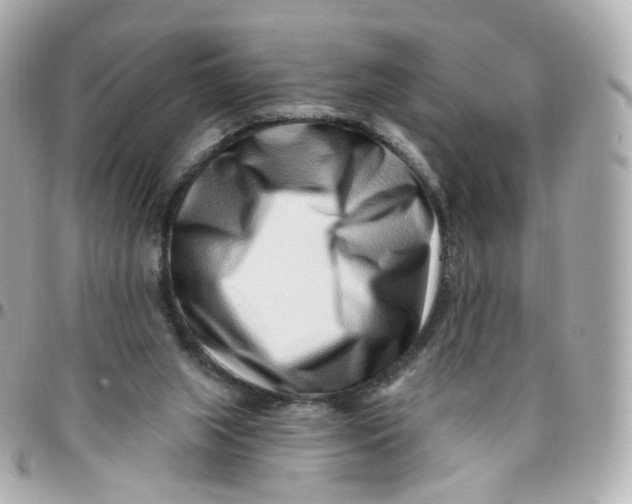 X0000095900063200802011137