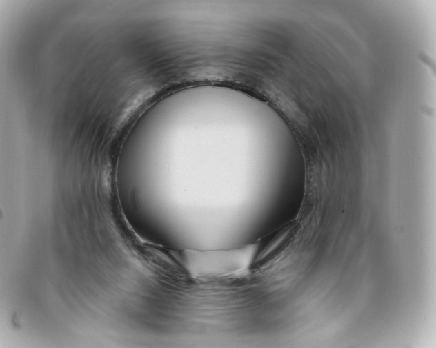 X0000095900064200802011137