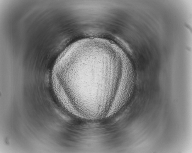 X0000095900065200802011137