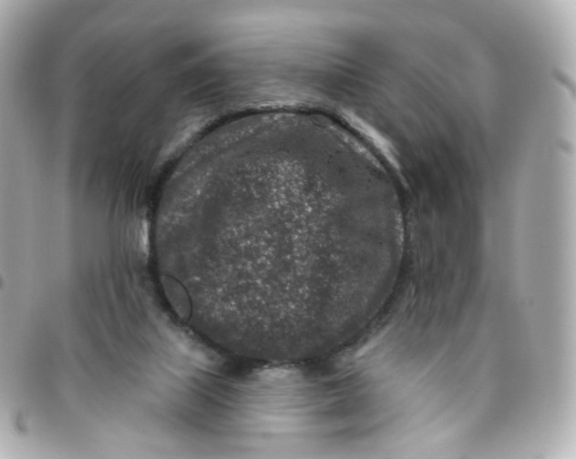 X0000095900067200802011137