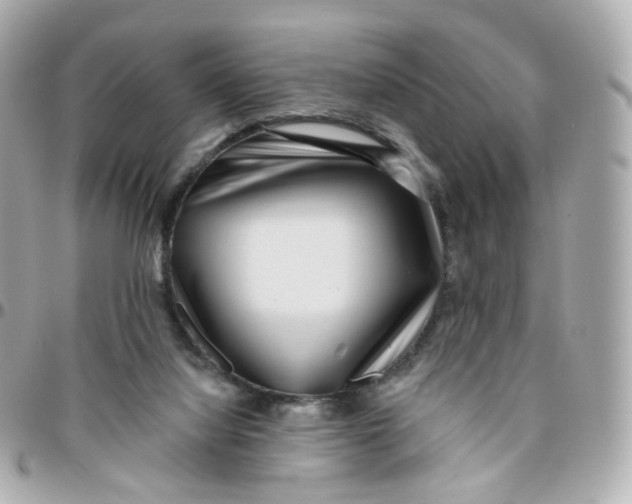 X0000095900068200802011137