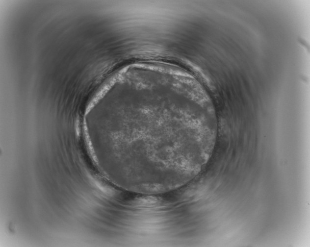 X0000095900069200802011137