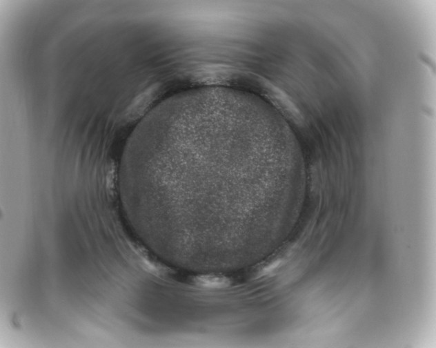 X0000095900073200802011137