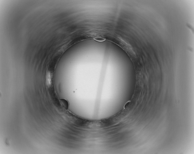 X0000095900075200802011137