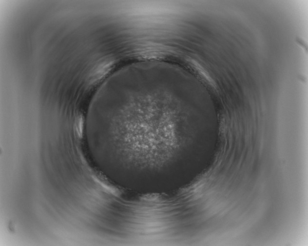 X0000095900076200802011138