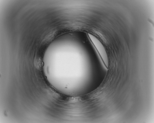 X0000095900077200802011138