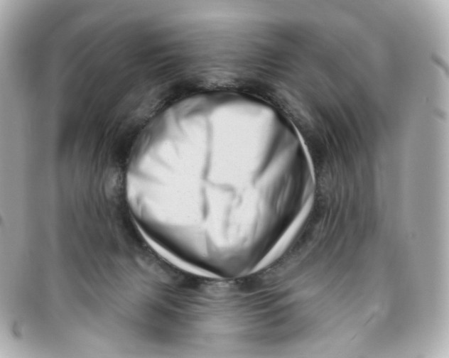 X0000095900079200802011138