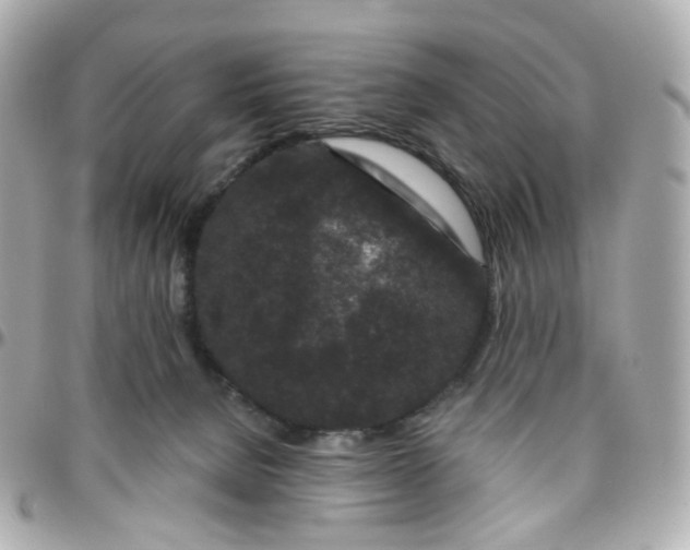 X0000095900080200802011138