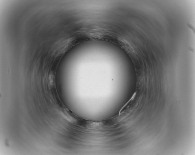 X0000095900081200802011138