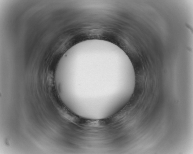 X0000095900083200802011138