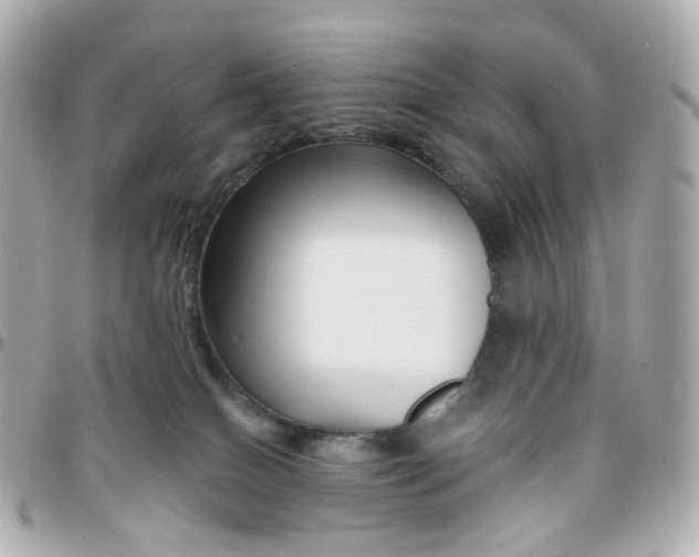 X0000095900086200802011138