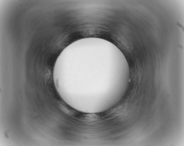 X0000095900087200802011138