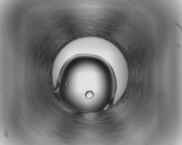 X0000095900088200802011138