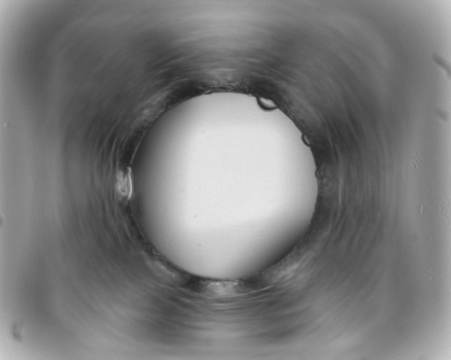 X0000095900089200802011138