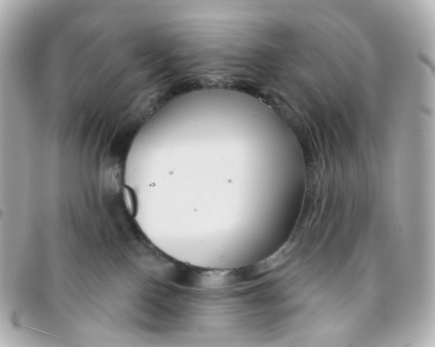 X0000095900090200802011138