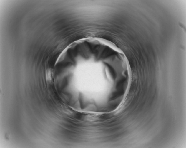 X0000095900094200802011138