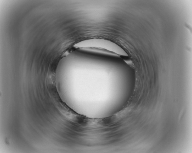 X0000095900096200802011138