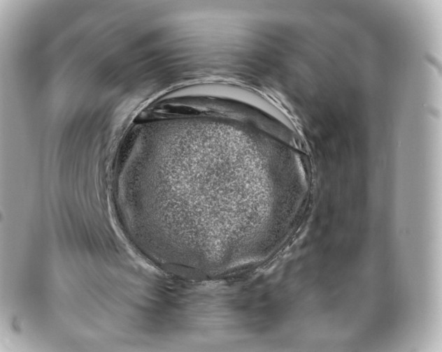 X0000095900097200802011137