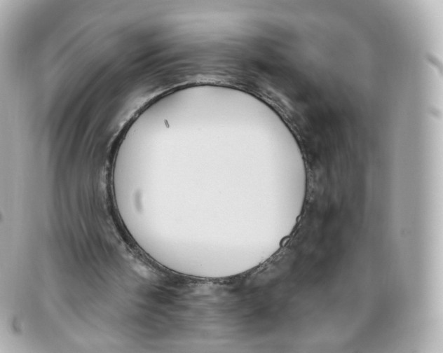 X0000095900098200802011137