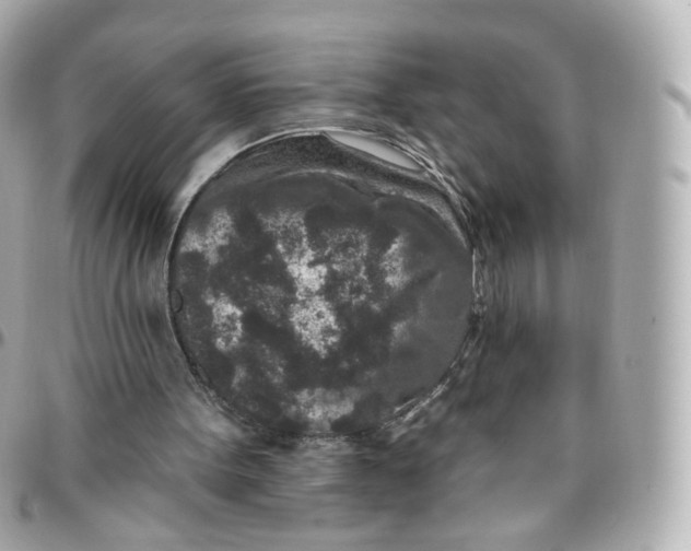 X0000095900099200802011137