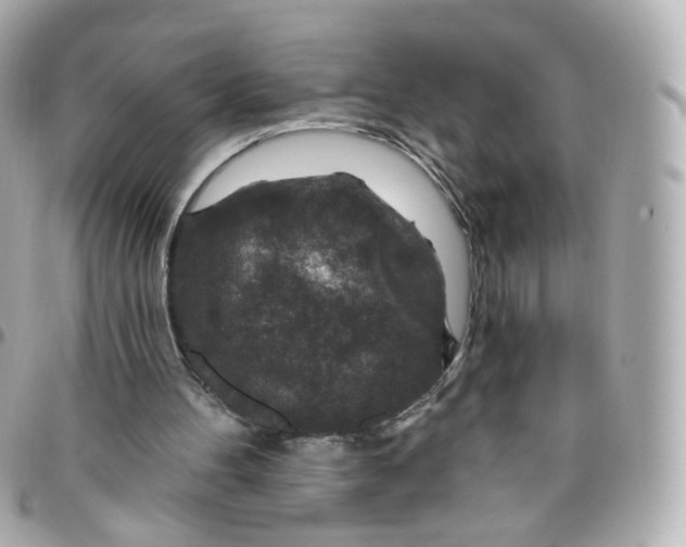 X0000095900100200802011137