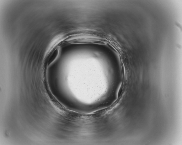 X0000095900101200802011137