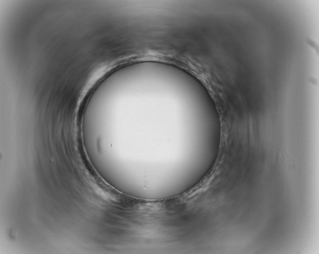 X0000095900102200802011137