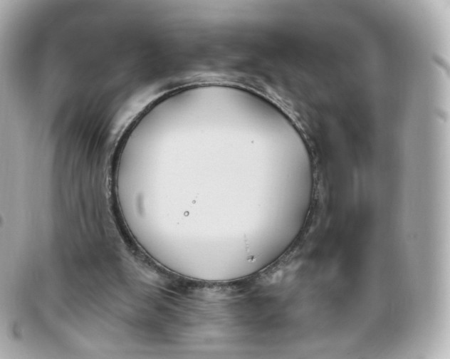 X0000095900103200802011137