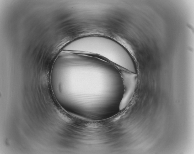 X0000095900105200802011137