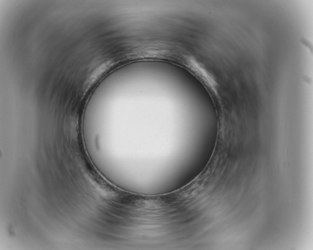 X0000095900107200802011137