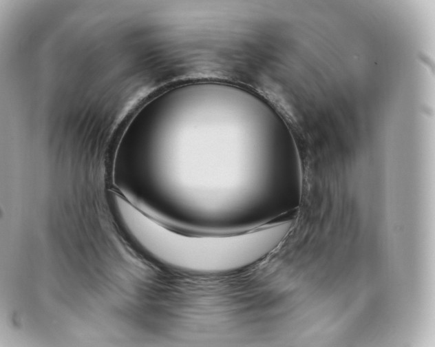 X0000095900108200802011137