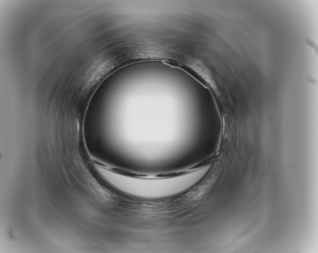 X0000095900109200802011137