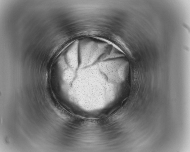 X0000095900110200802011137