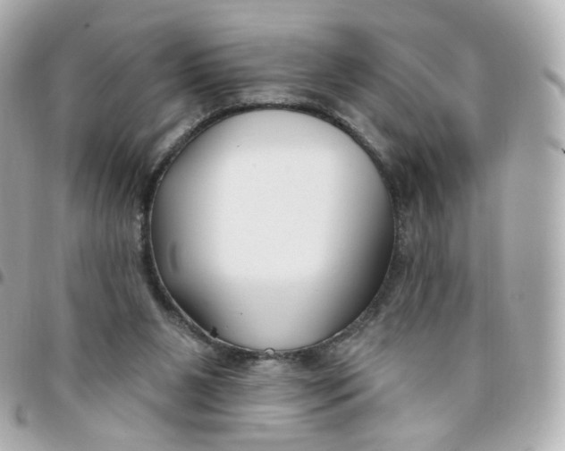 X0000095900111200802011137