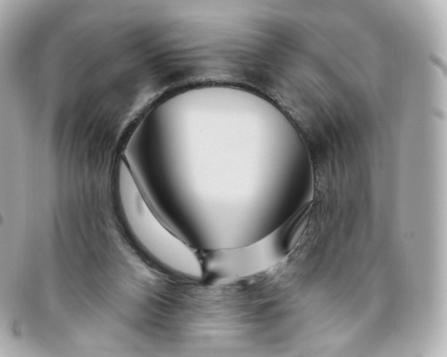 X0000095900112200802011137