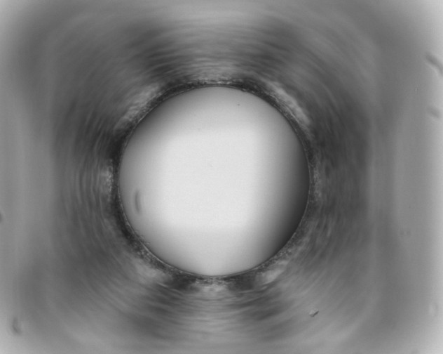 X0000095900113200802011137