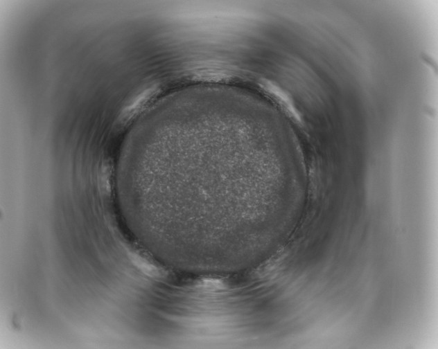 X0000095900114200802011137