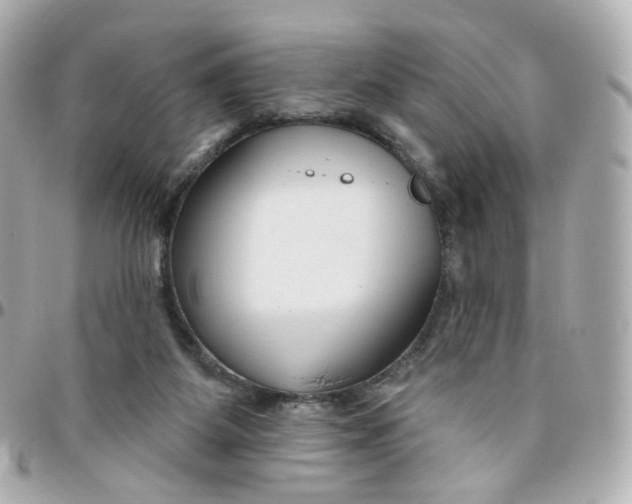 X0000095900115200802011137