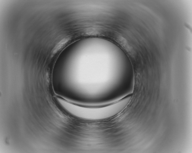 X0000095900116200802011137