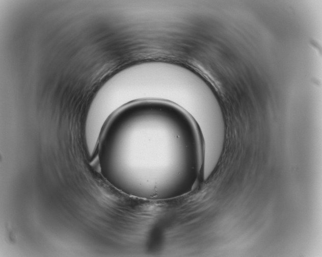 X0000095900117200802011137