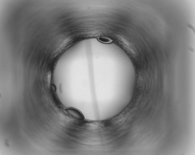 X0000095900118200802011137