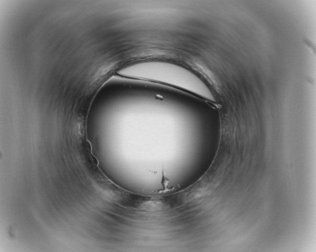 X0000095900119200802011137