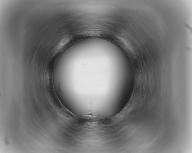 X0000095900120200802011137