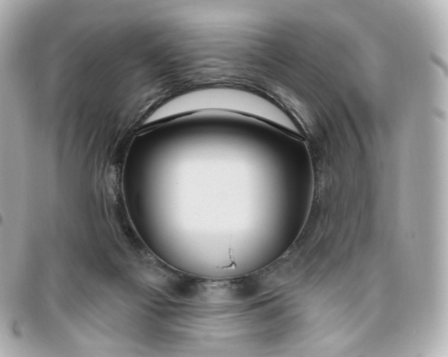 X0000095900121200802011137