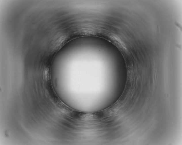 X0000095900123200802011137