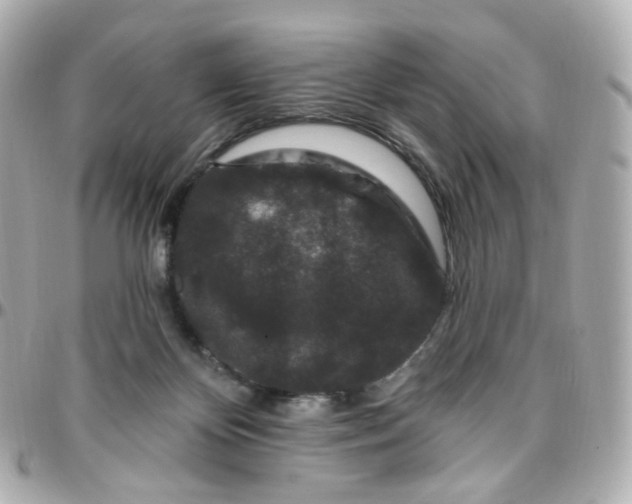 X0000095900124200802011137