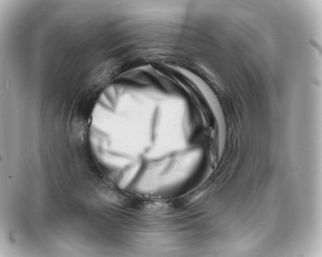 X0000095900125200802011137