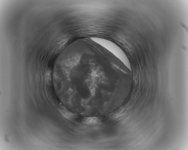 X0000095900127200802011137